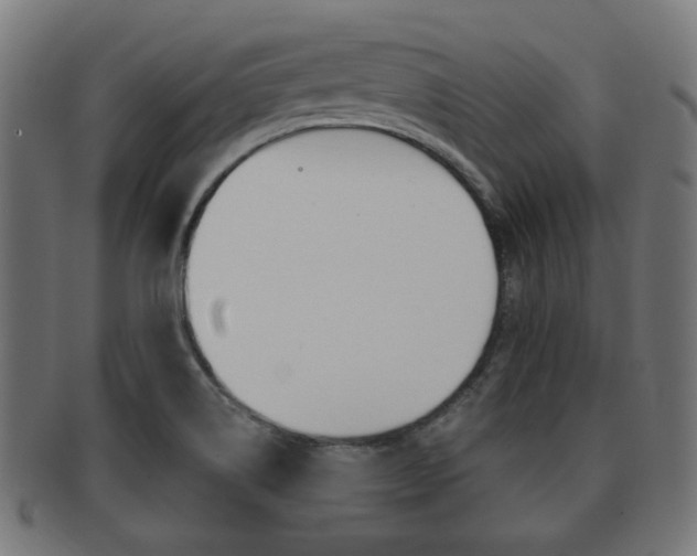 X0000091991514200709061210