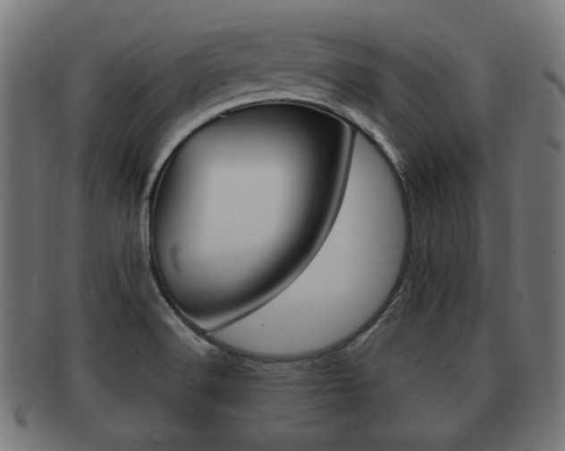 X0000091991516200709061210