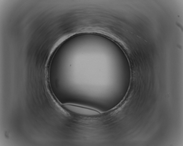 X0000091991517200709061210