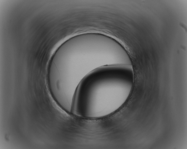 X0000091991518200709061210