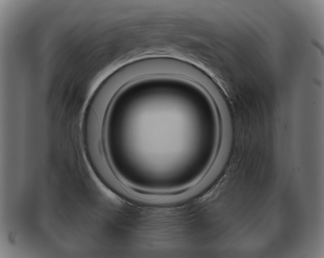 X0000091991519200709061210