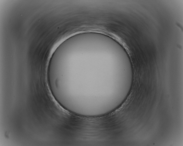 X0000091991520200709061210
