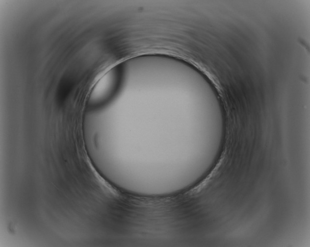 X0000091991521200709061210