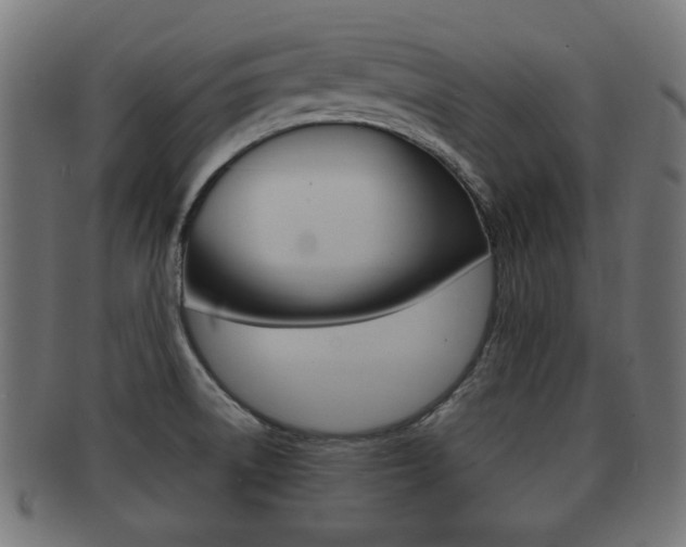 X0000091991522200709061210