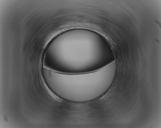X0000091991523200709061210