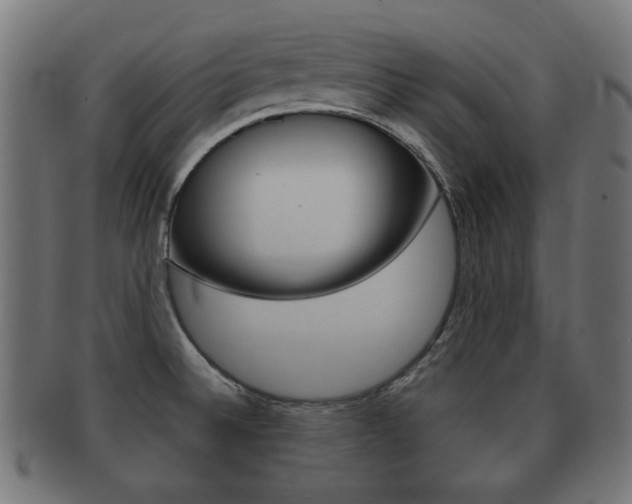 X0000091991524200709061210