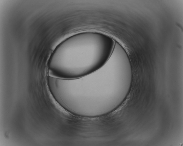 X0000091991526200709061210