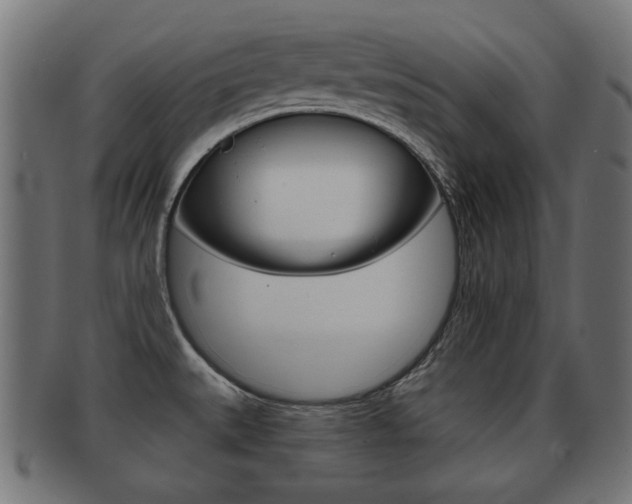 X0000091991527200709061210