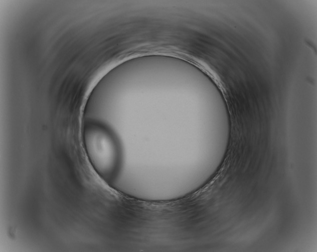 X0000091991528200709061210