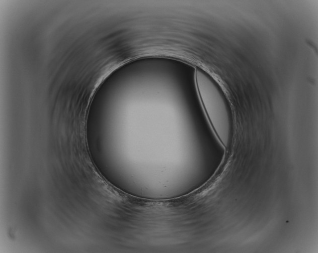 X0000091991529200709061210