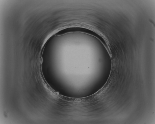 X0000091991530200709061210