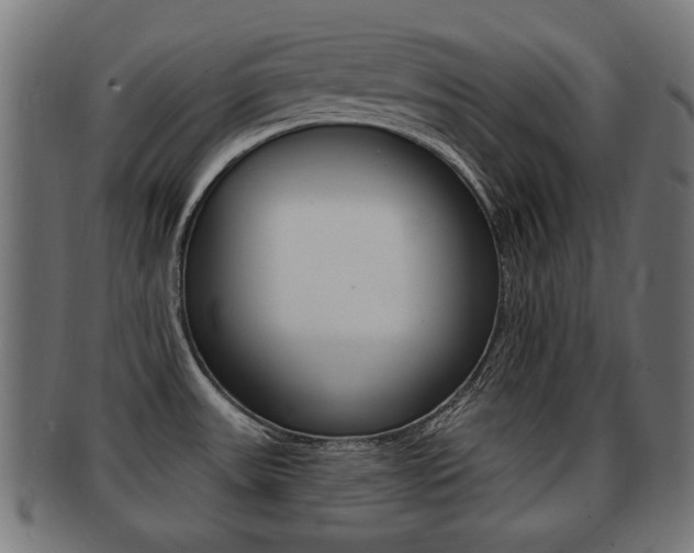 X0000091991531200709061210