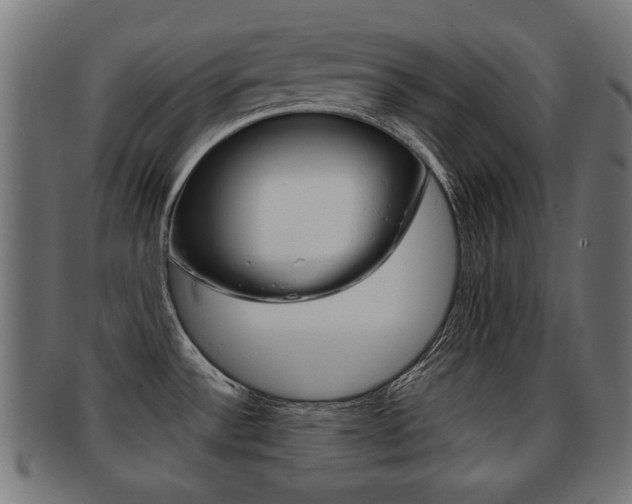 X0000091991532200709061210