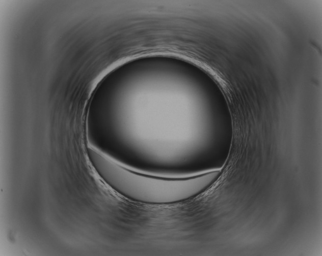 X0000091991534200709061211