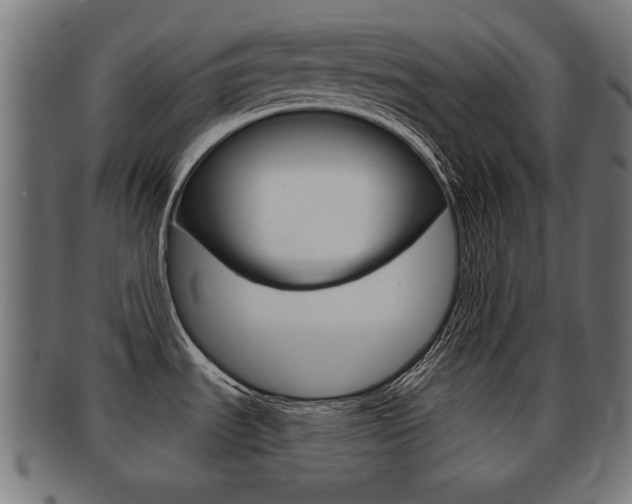 X0000091991535200709061211