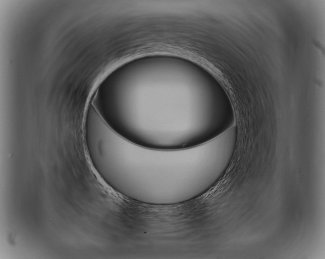 X0000091991536200709061211
