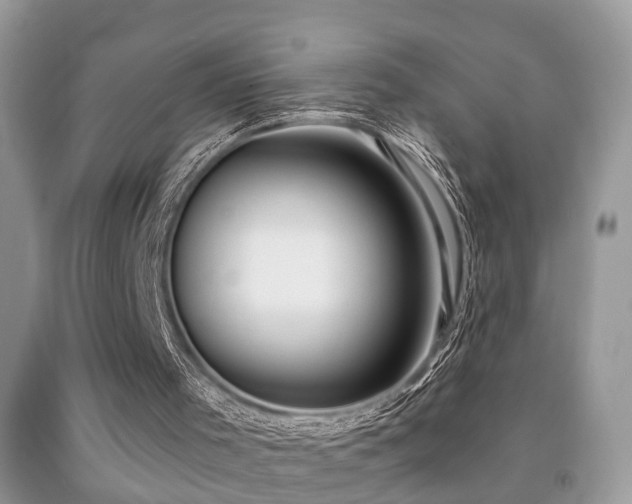 X0000091990001200709061428