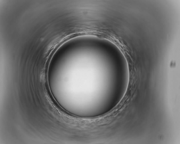 X0000091990002200709061428