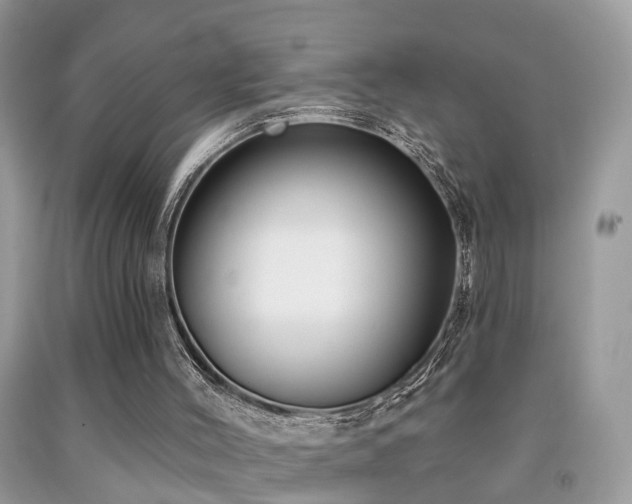 X0000091990004200709061428