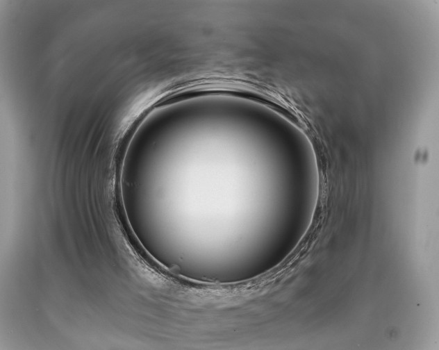 X0000091990005200709061428