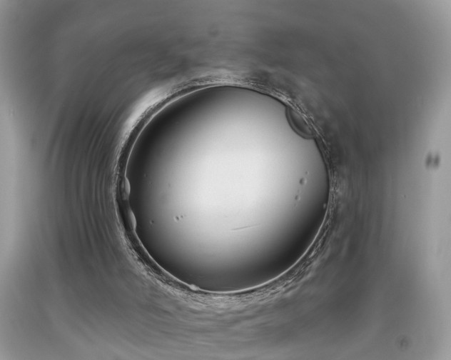 X0000091990006200709061427