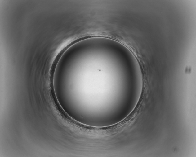 X0000091990008200709061427