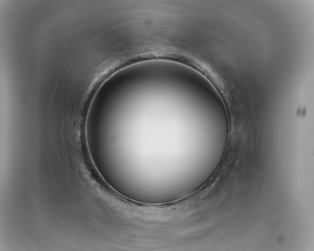 X0000091990010200709061427