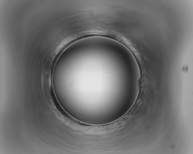 X0000091990011200709061427
