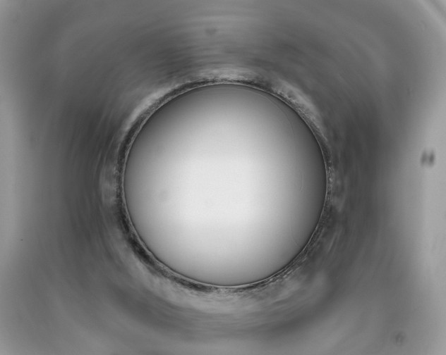 X0000091990012200709061427