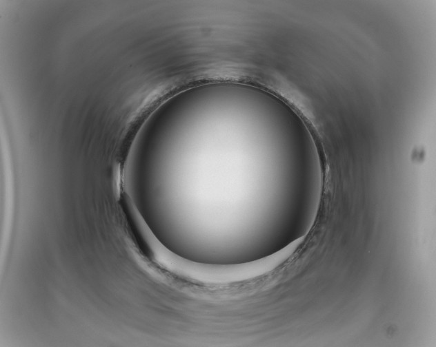 X0000091990013200709061427