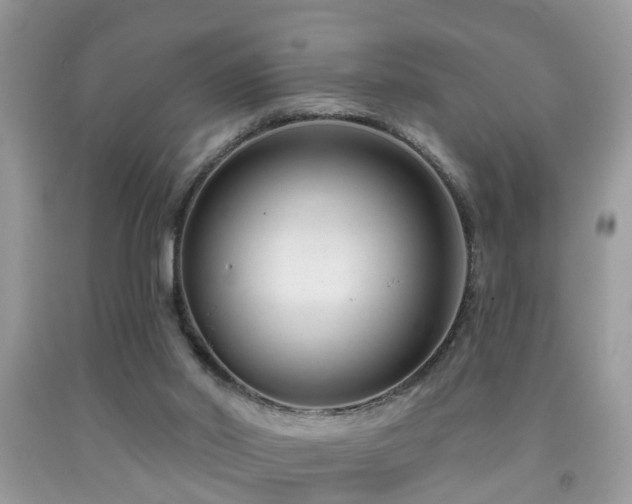 X0000091990014200709061427