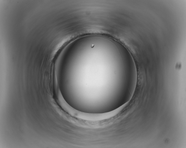 X0000091990015200709061427