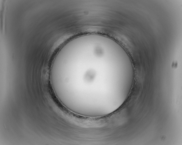 X0000091990016200709061427