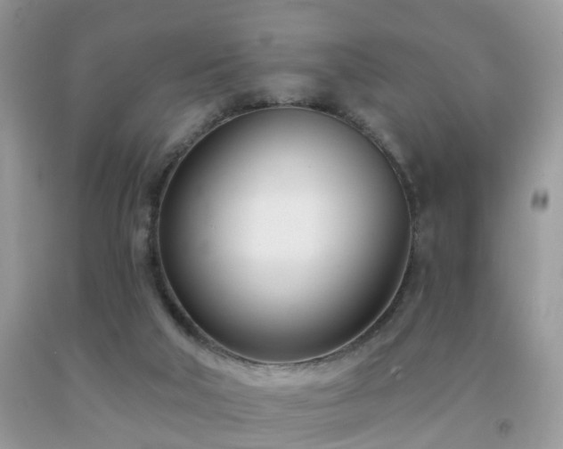 X0000091990018200709061427