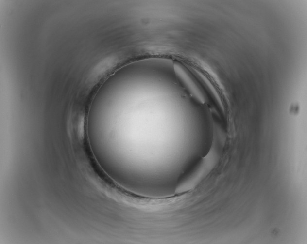 X0000091990019200709061427