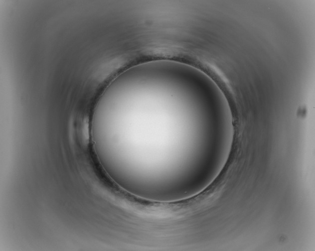 X0000091990020200709061427