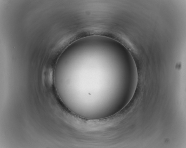 X0000091990022200709061427