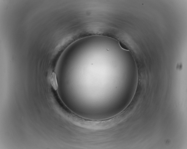X0000091990023200709061427