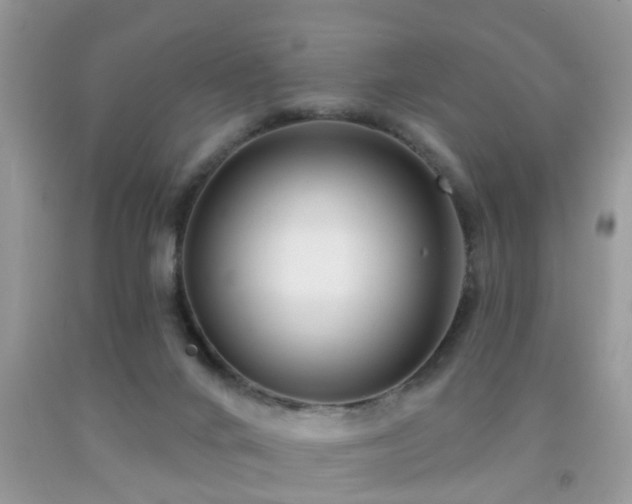 X0000091990024200709061427