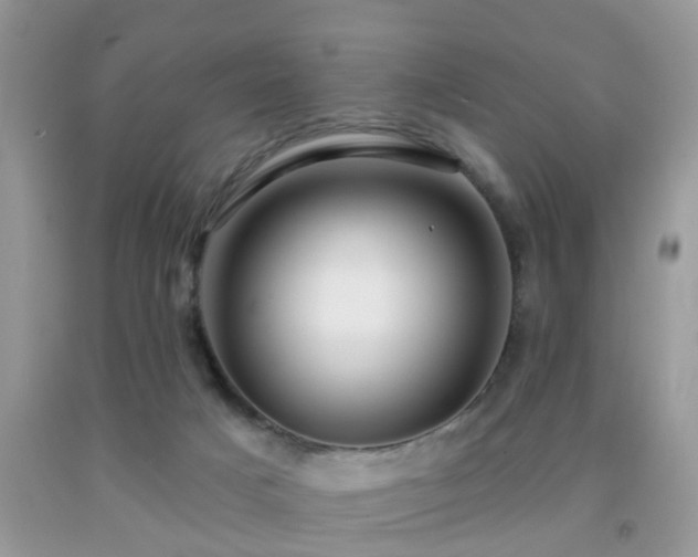 X0000091990025200709061427