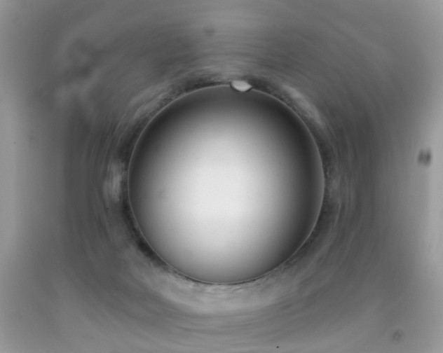 X0000091990026200709061427