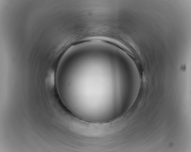 X0000091990027200709061427