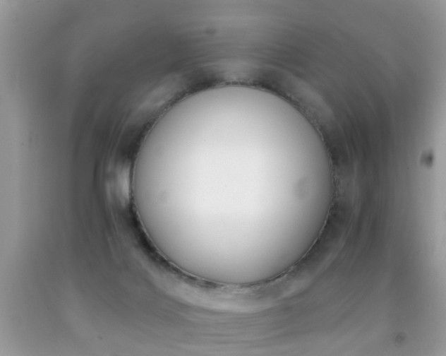 X0000091990028200709061427