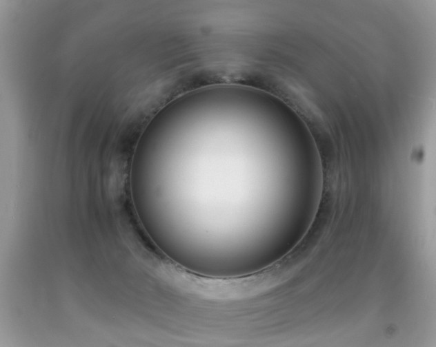 X0000091990030200709061427
