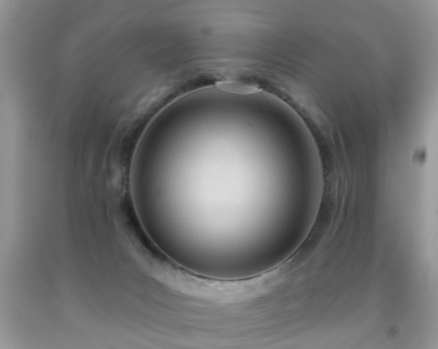 X0000091990031200709061427