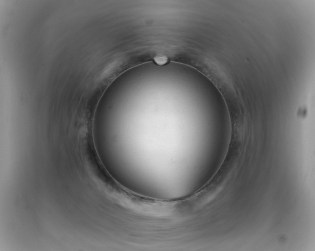 X0000091990032200709061427