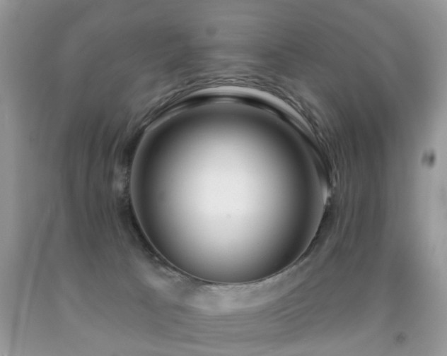 X0000091990033200709061427