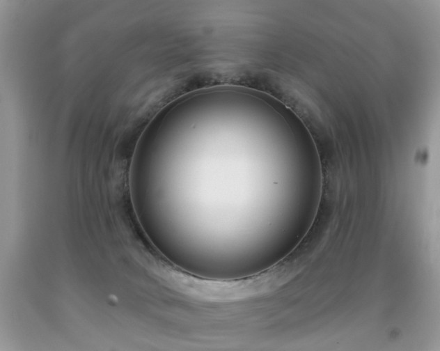 X0000091990034200709061427