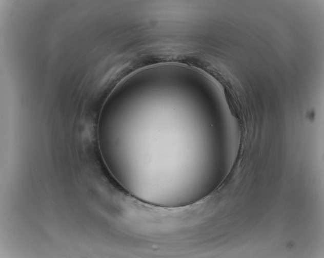 X0000091990035200709061427
