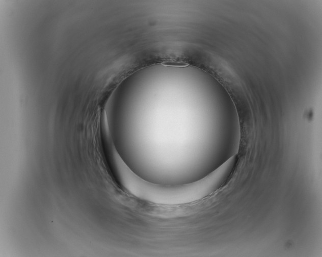 X0000091990037200709061427